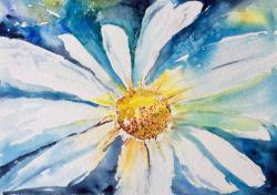 Daisy